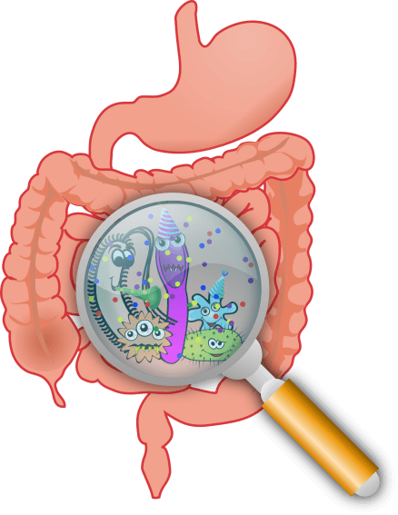 con rett onlus - Scoperta alterazione della popolazione microbica intestinale.